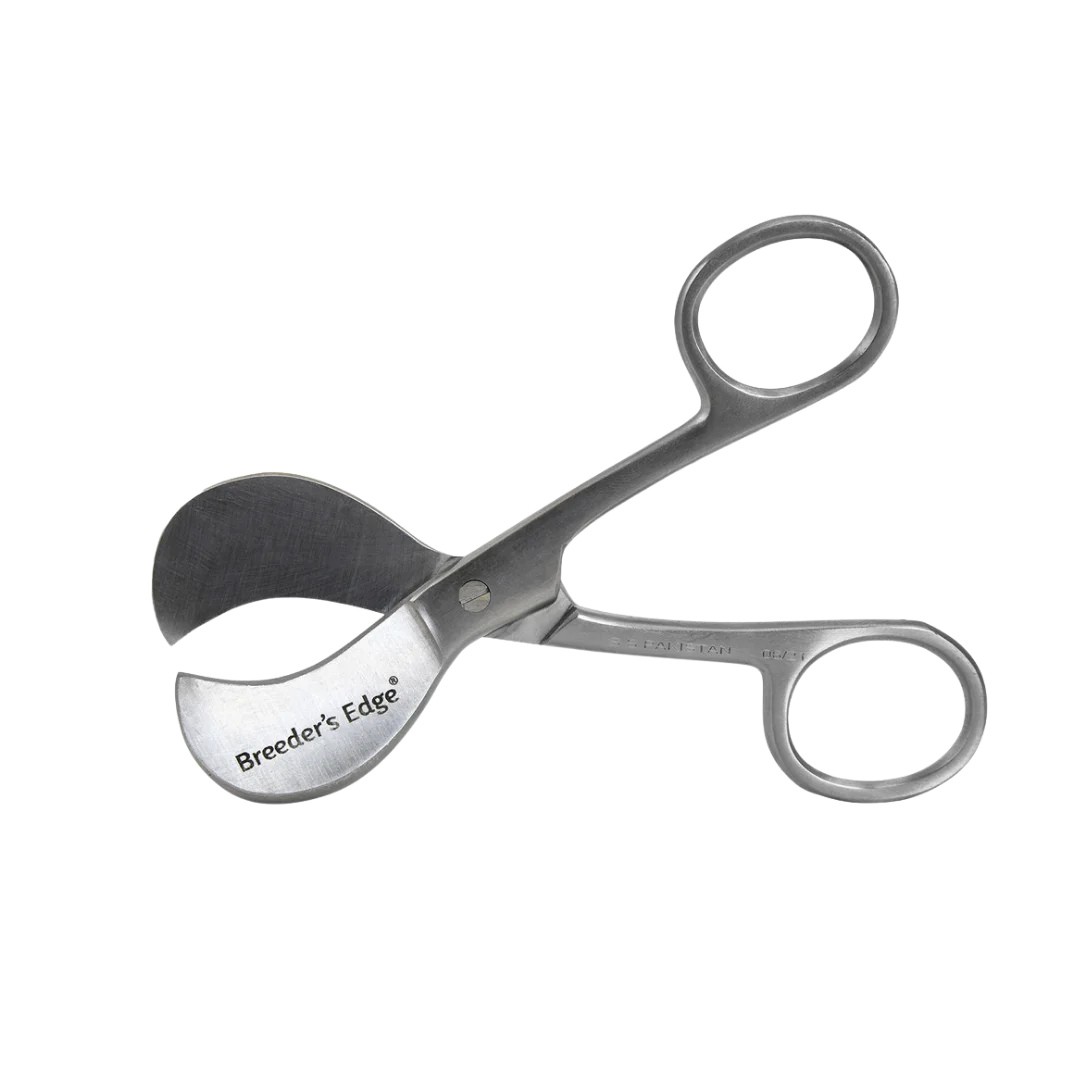 Clean Cut Umbilical Scissors by Breeder's Edge