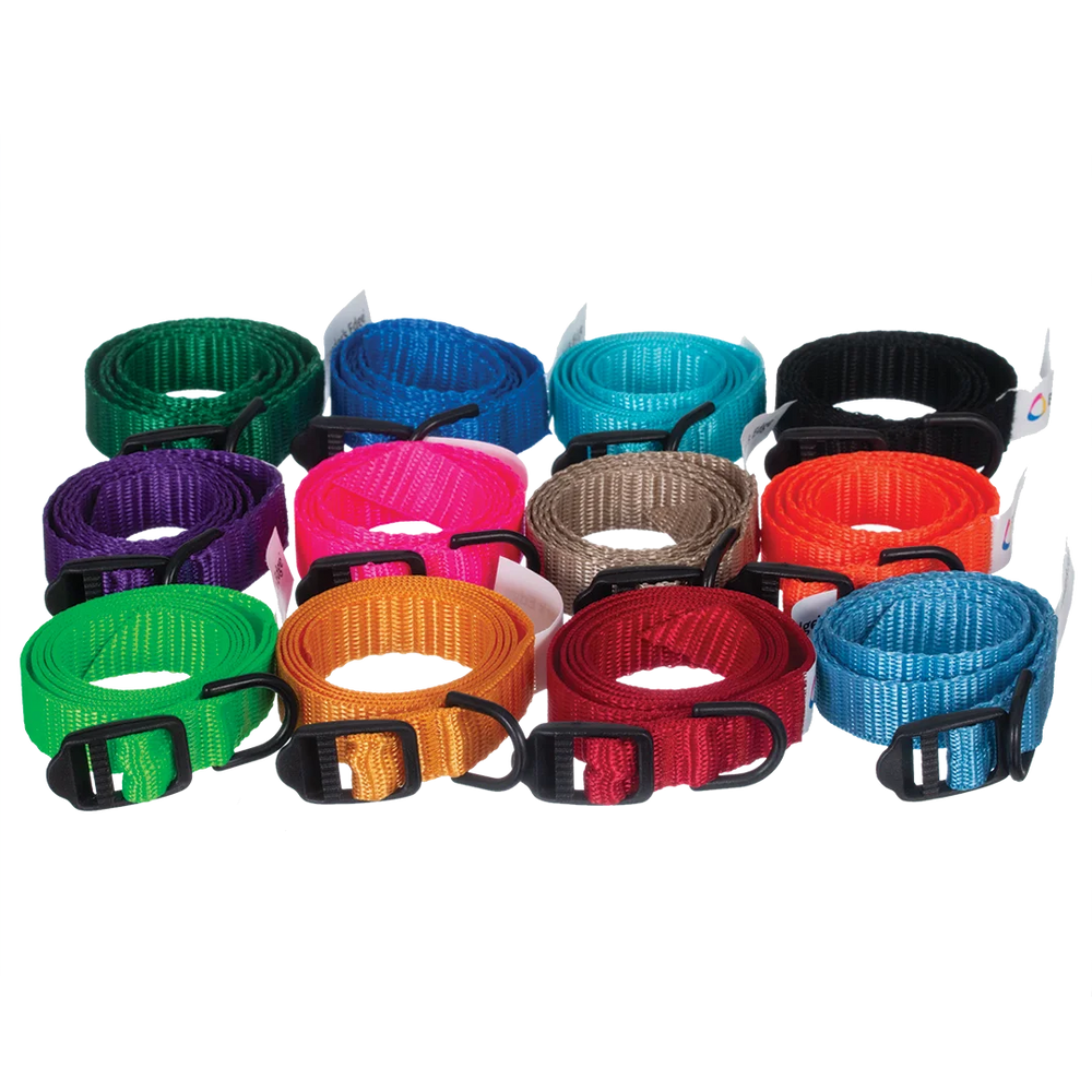 ID Me Take Me Home Collars 12 pk Assorted Colors by Breeder's Edge