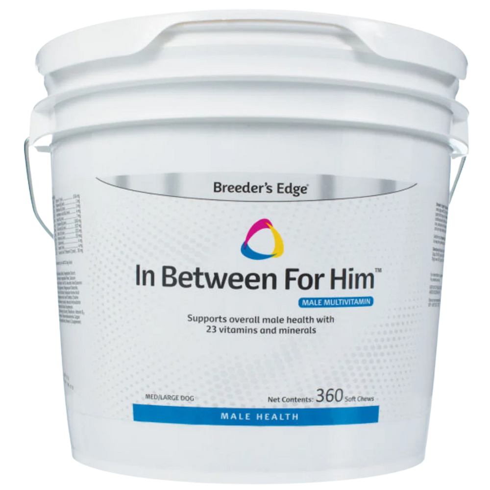 In Between For Him 360ct Medium/Large Dog by Breeder's Edge