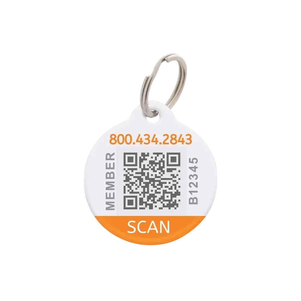 Box of 12 BuddyBadge Collar Tags with Registration by BuddyID