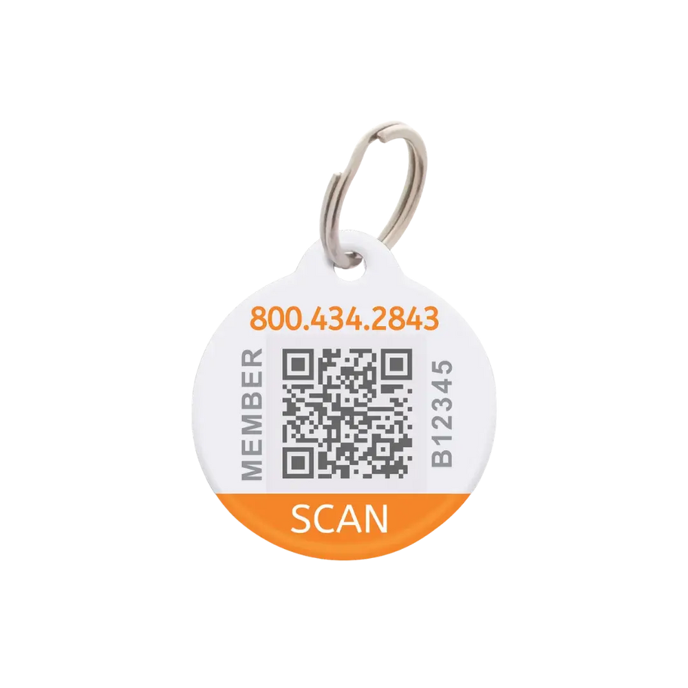 BuddyBadge Collar Tag with Registration by BuddyID