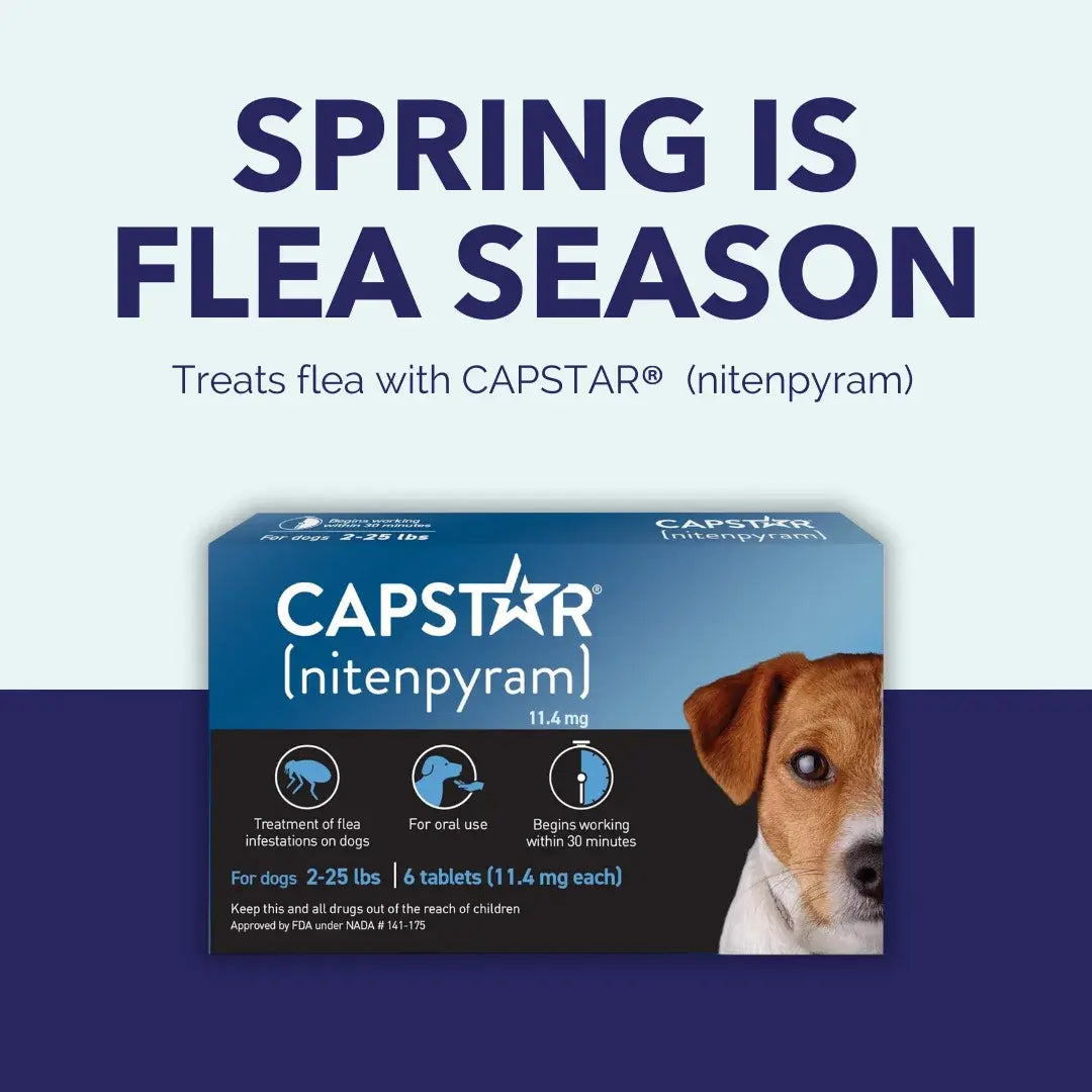 Pack of 6 Tablet For Flea Infestations Under 25Lb Dogs by Capstar