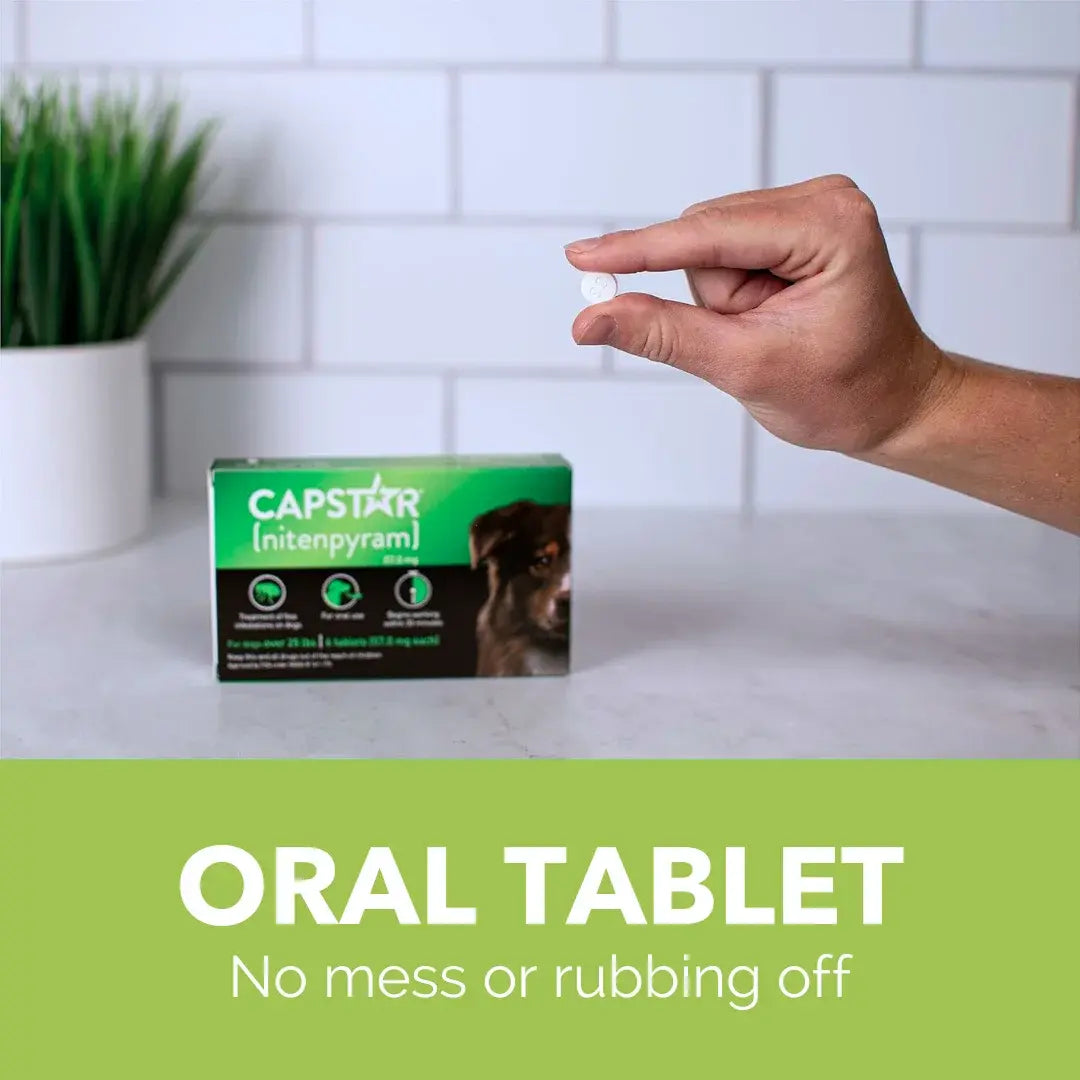 Pack of 6 Tablet For Flea Infestations Over 25Lb Dogs by Capstar