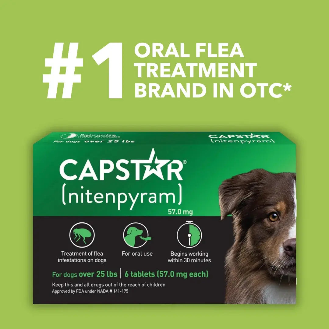 Pack of 6 Tablet For Flea Infestations Over 25Lb Dogs by Capstar