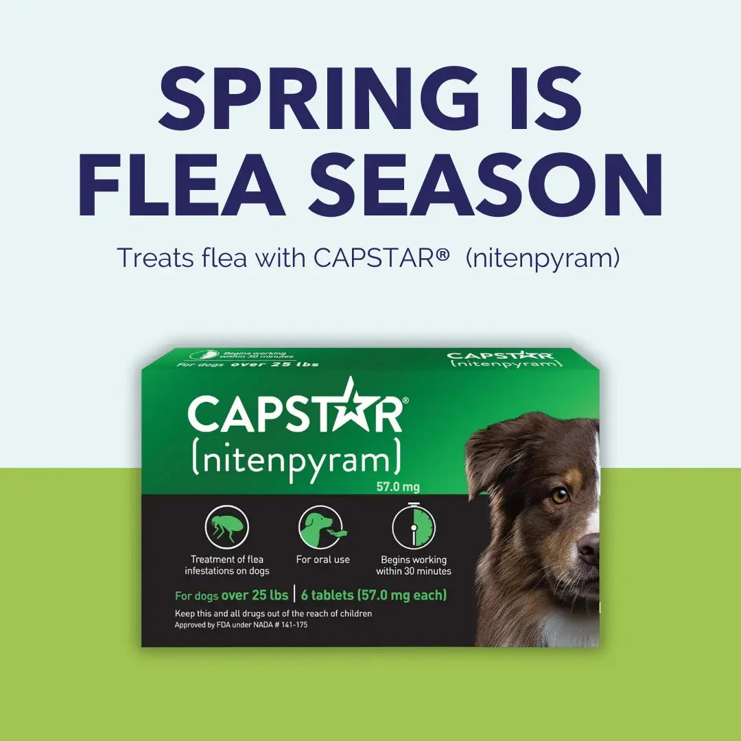 Pack of 6 Tablet For Flea Infestations Over 25Lb Dogs by Capstar