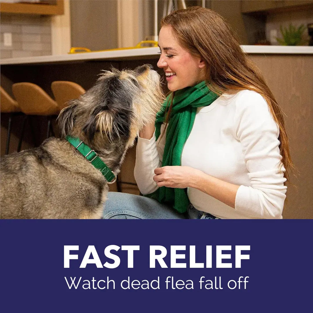Pack of 6 Tablet For Flea Infestations Under 25Lb Dogs by Capstar