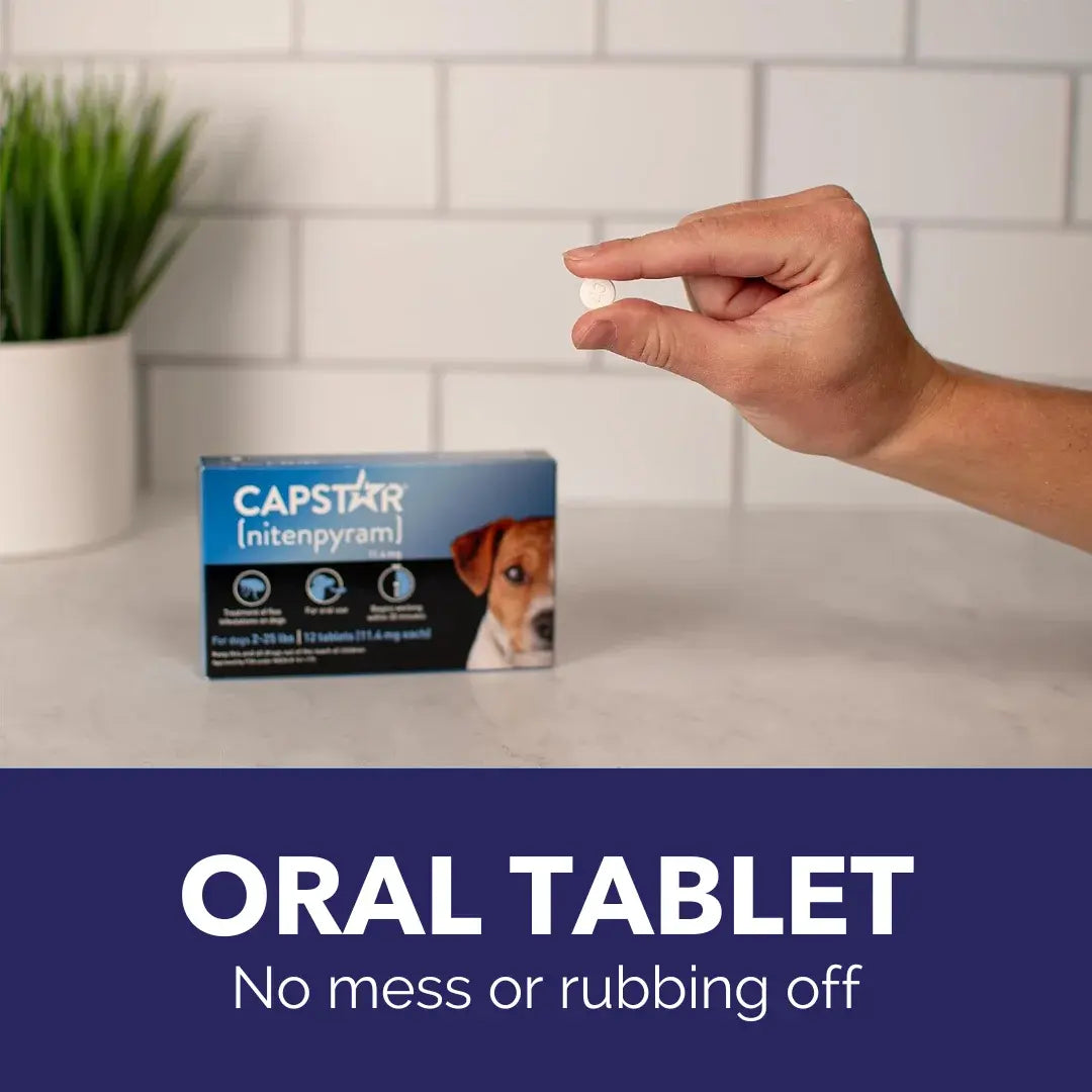 Pack of 6 Tablet For Flea Infestations Under 25Lb Dogs by Capstar