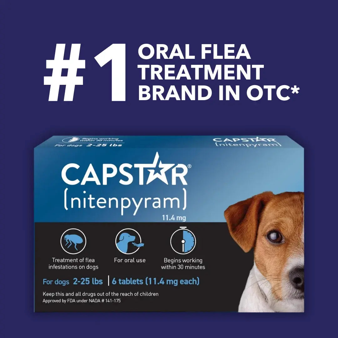 Pack of 6 Tablet For Flea Infestations Under 25Lb Dogs by Capstar