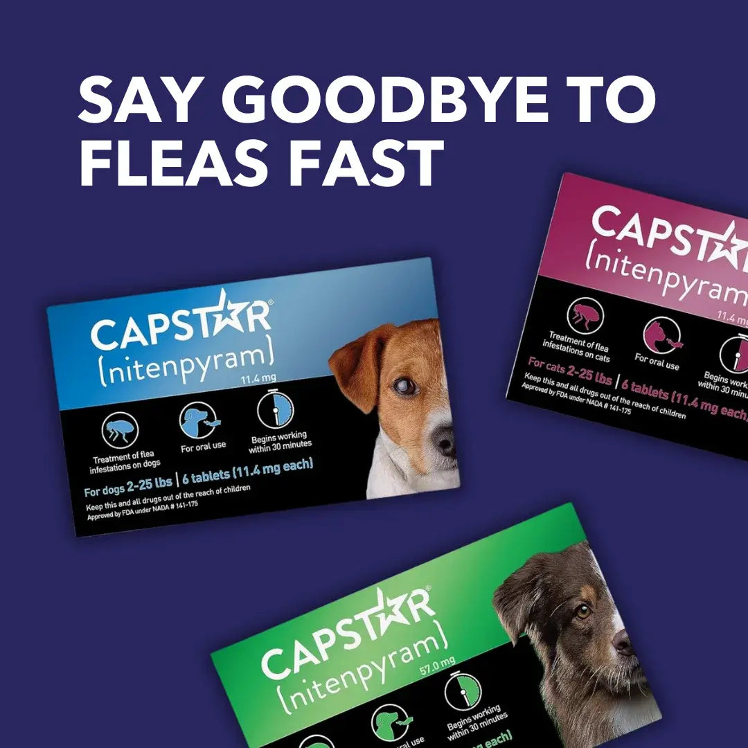Pack of 6 Tablet For Flea Infestations Under 25Lb Dogs by Capstar