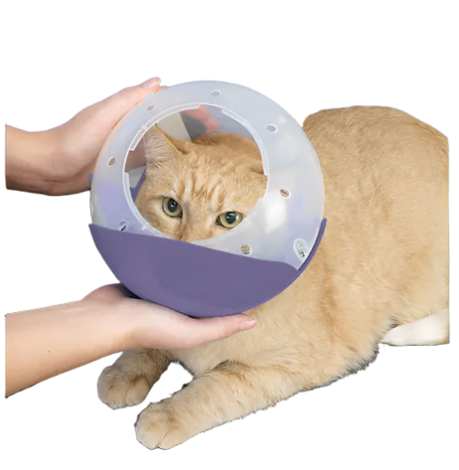 Cat and Flat Face Dog Air Muzzle