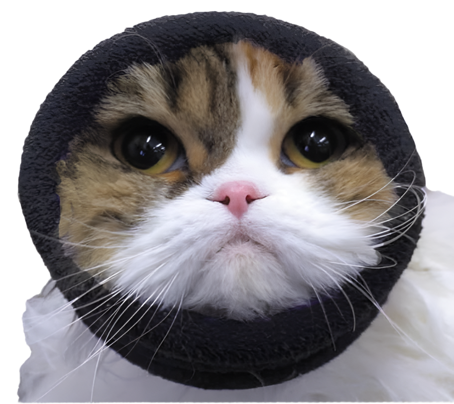 Happy Hoodie Black Extra Small