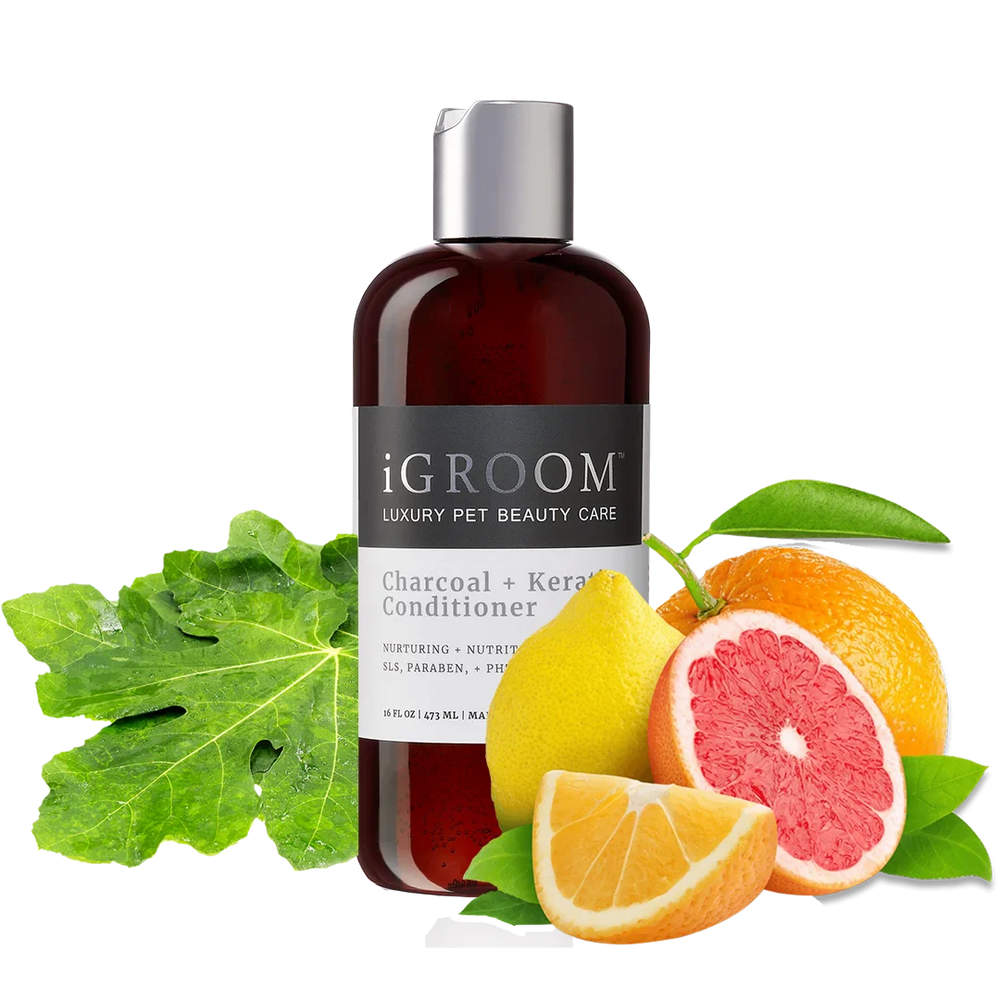 Charcoal and Keratin Shampoo 16oz by iGroom