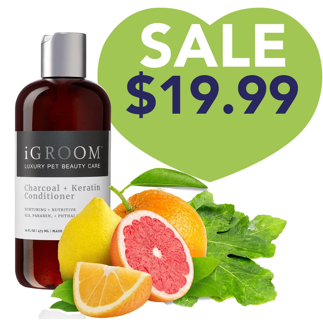 Charcoal and Keratin Shampoo 16oz by iGroom