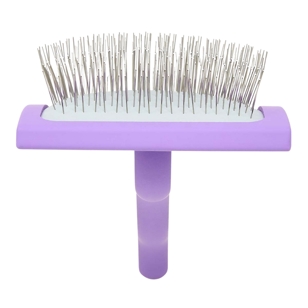 Big A Slicker Brush Large/Purple by Chris Christensen