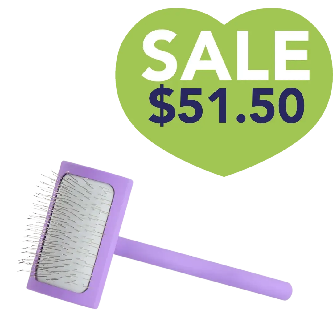 Big A Slicker Brush Medium/Purple by Chris Christensen