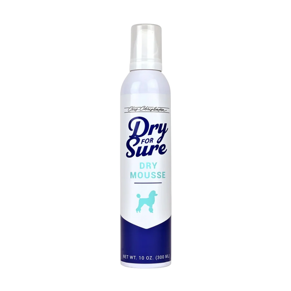 Dry For Sure Dry Mousse 10oz by Chris Christensen