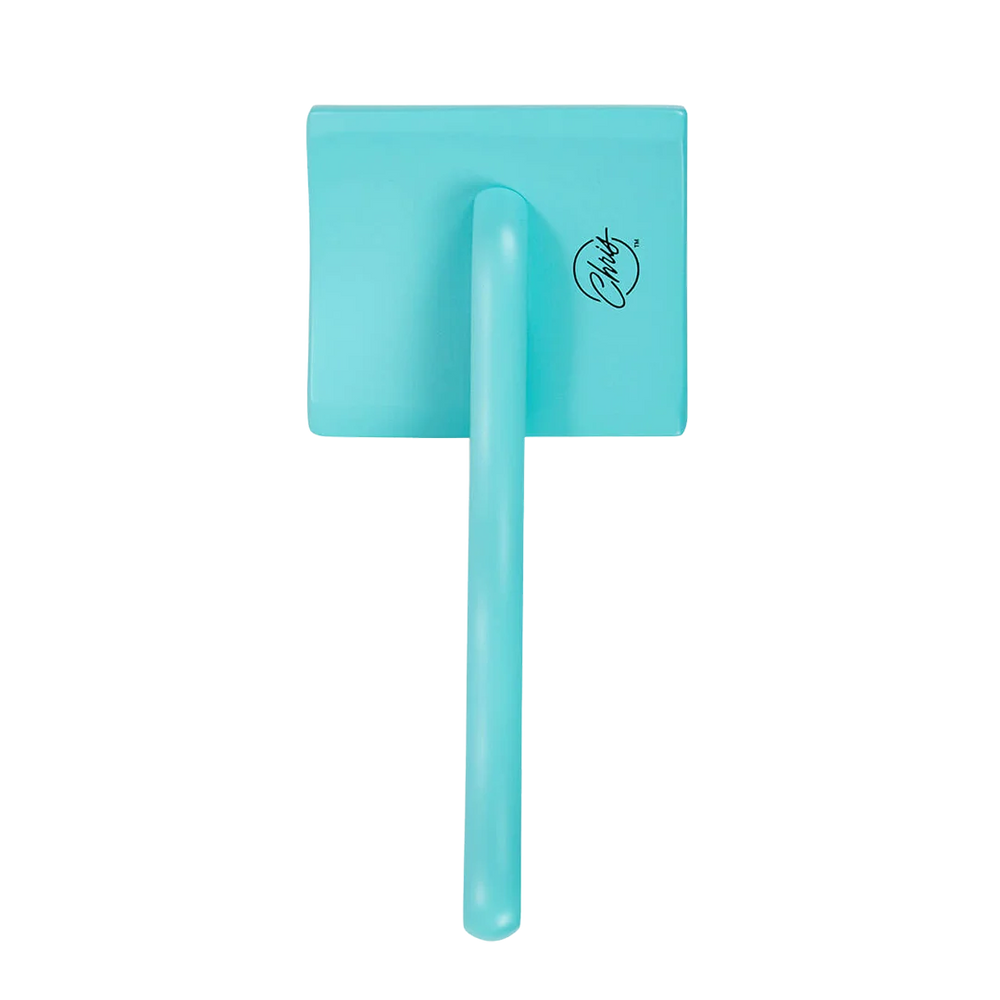 Large Home Care Big G Teal Slicker Brush by Chris Christensen