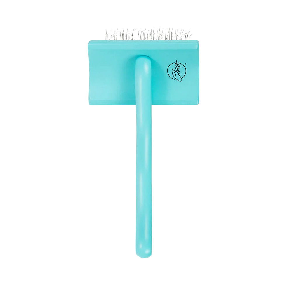 Medium Home Care Big G Teal Slicker Brush by Chris Christensen