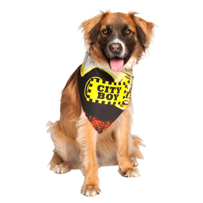 Dog Fashion Living City Boy Dog Bandana