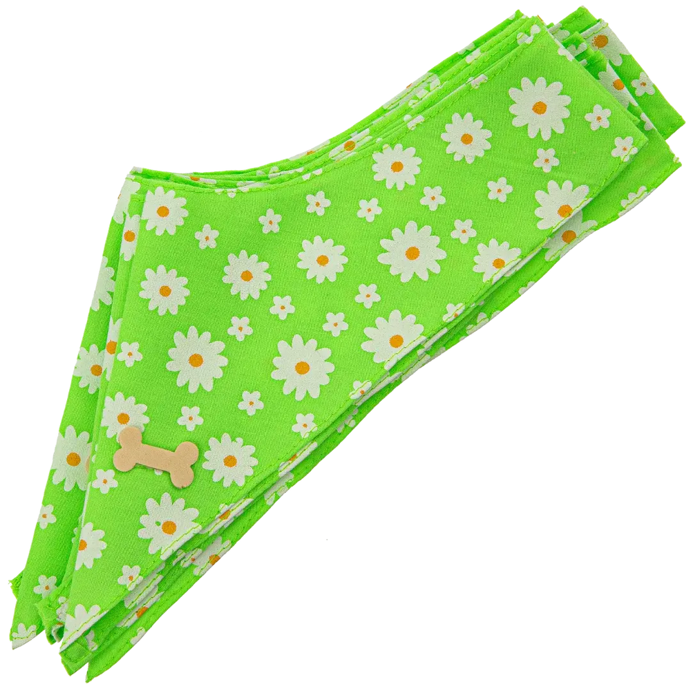 Dog Bandana Design #78 by Cecilia (Set of 10)