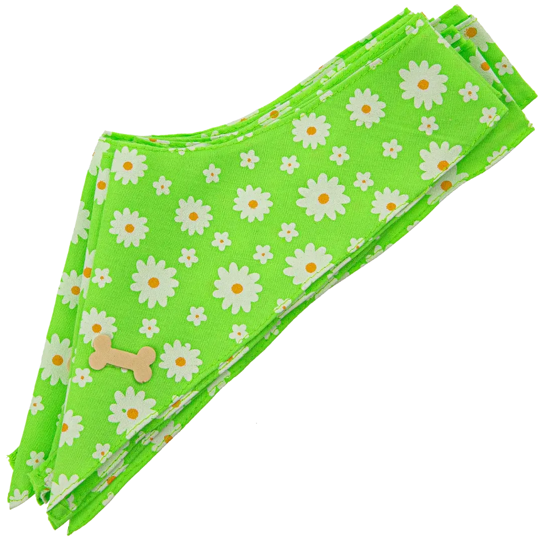 Dog Bandana Design #78 by Cecilia (Set of 10)