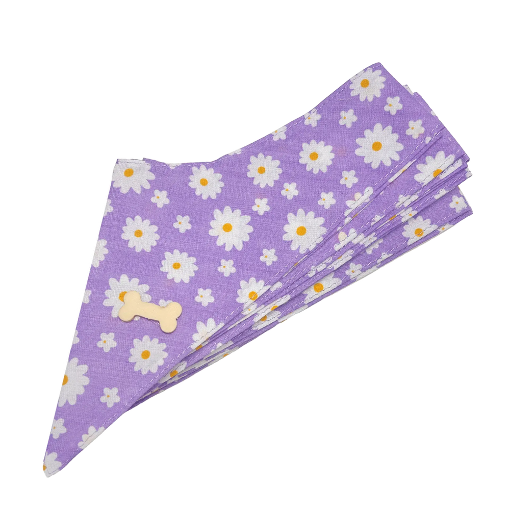 dog-bandana-design-93-by-cecilia-set-of-10
