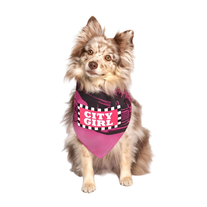 Dog Fashion Living City Girl Dog Bandana