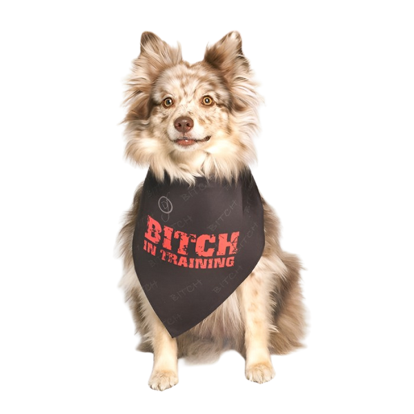 In training dog bandana online
