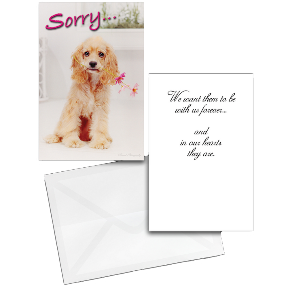 Sorry For Your Loss Grievance Card by Dog Fashion Living