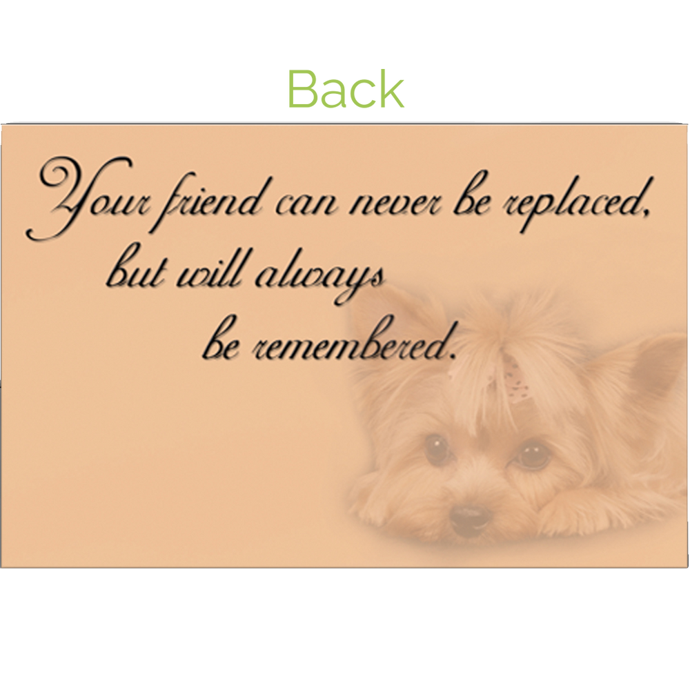 Sorry For Your Loss Yorkie Design Grievance Card by Dog Fashion Living