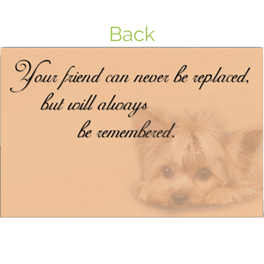 Sorry For Your Loss Yorkie Design Grievance Card by Dog Fashion Living