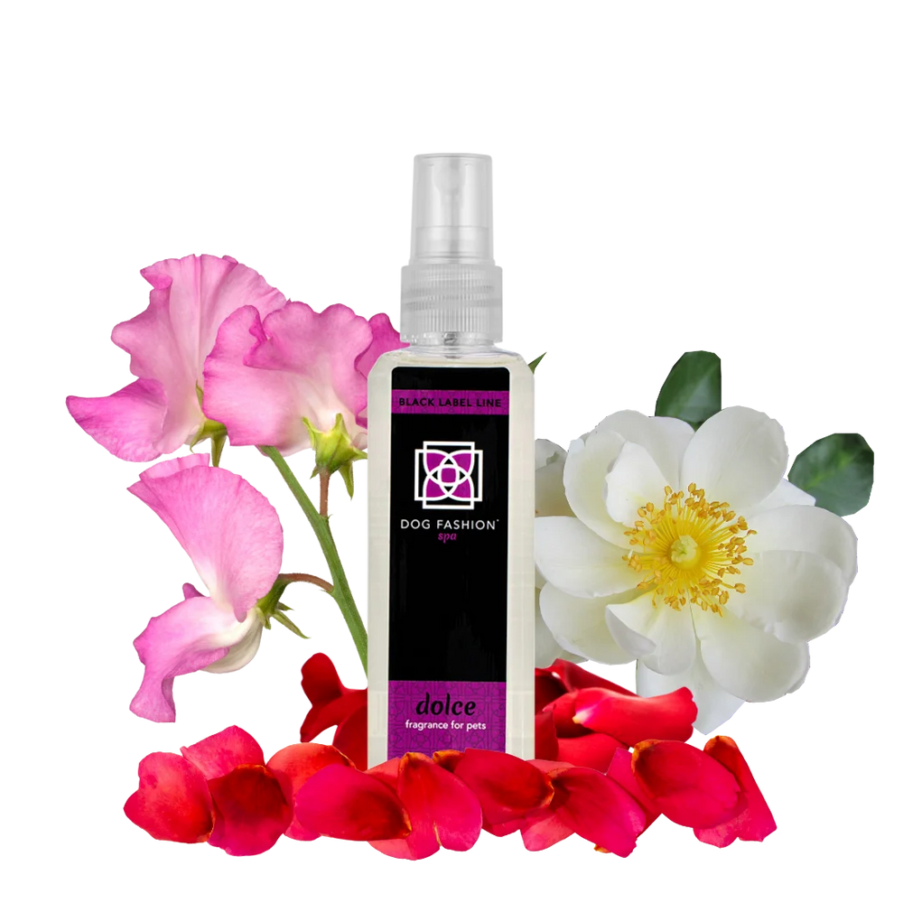 Dolce Fragrance 100 ml by Dog Fashion Spa