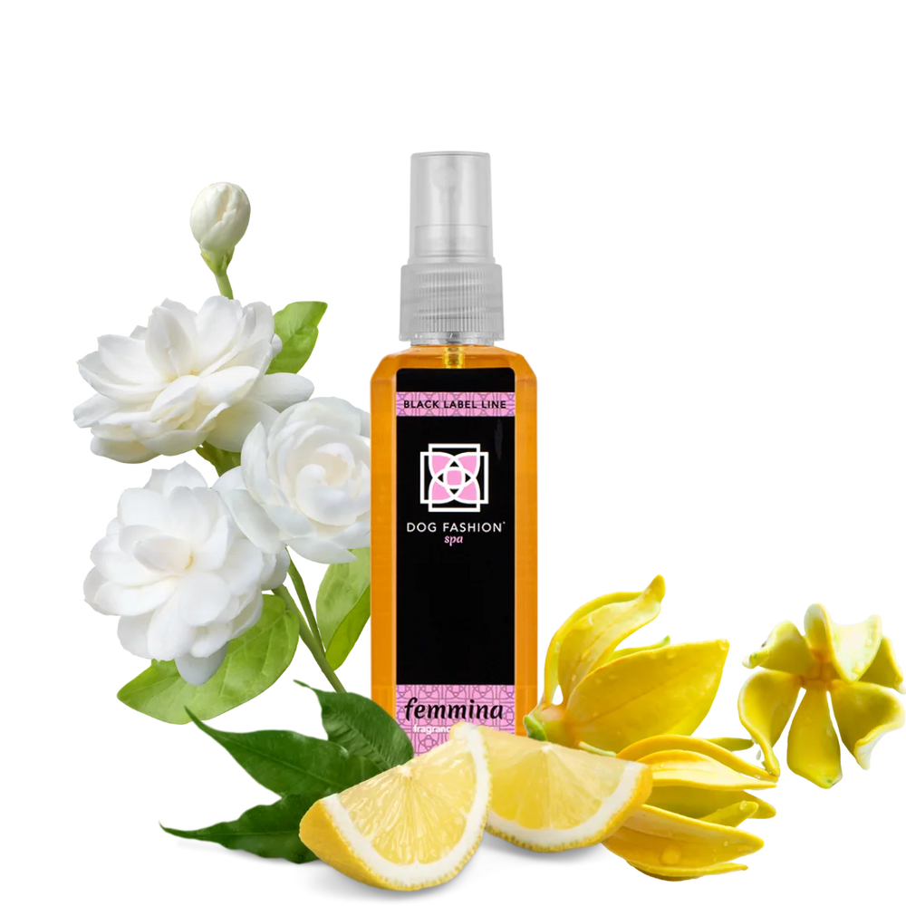 Femmina Fragrance 100 ml by Dog Fashion Spa