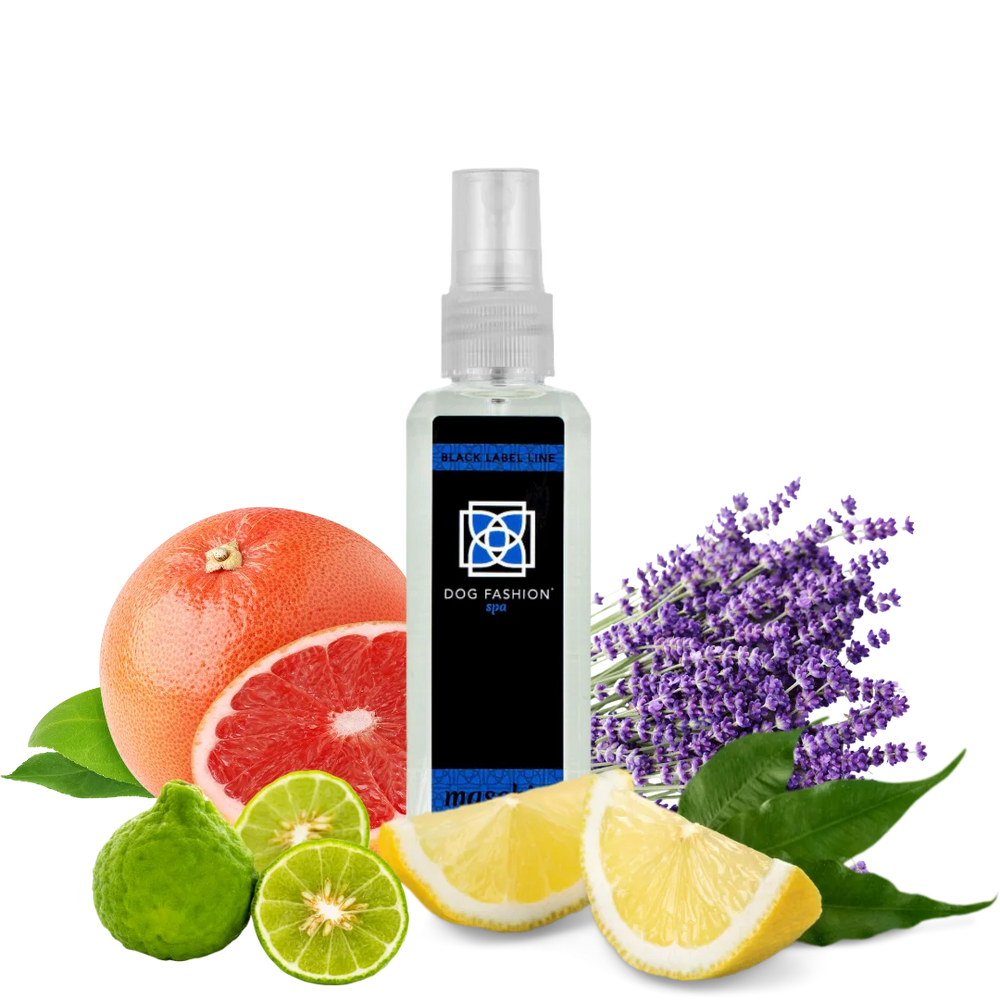 Maschio Fragrance 100 ml by Dog Fashion Spa
