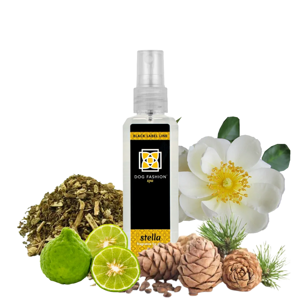 Stella Fragrance 100 ml by Dog Fashion Spa