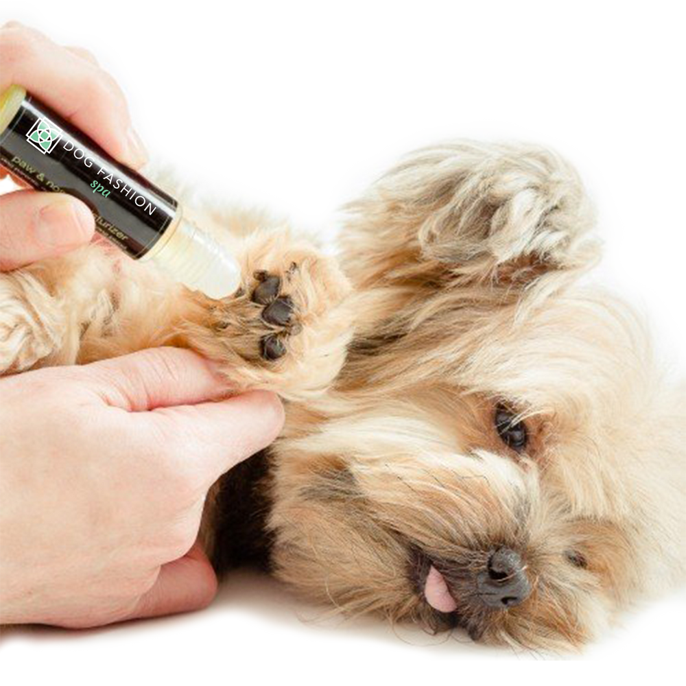Dog Fashion Spa Dog Paw + Nose Moisturizer