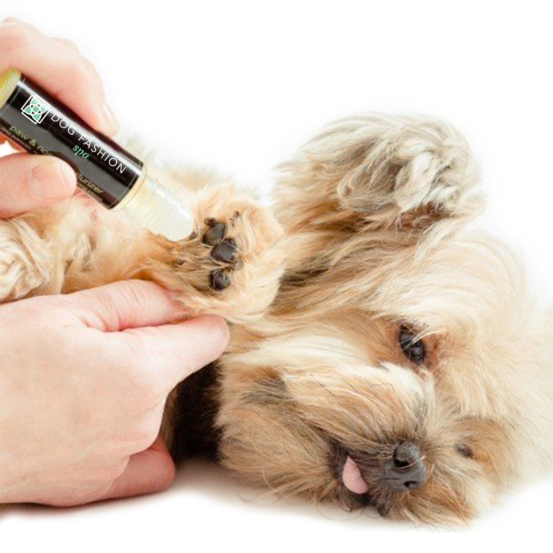 Dog Fashion Spa Dog Paw + Nose Moisturizer