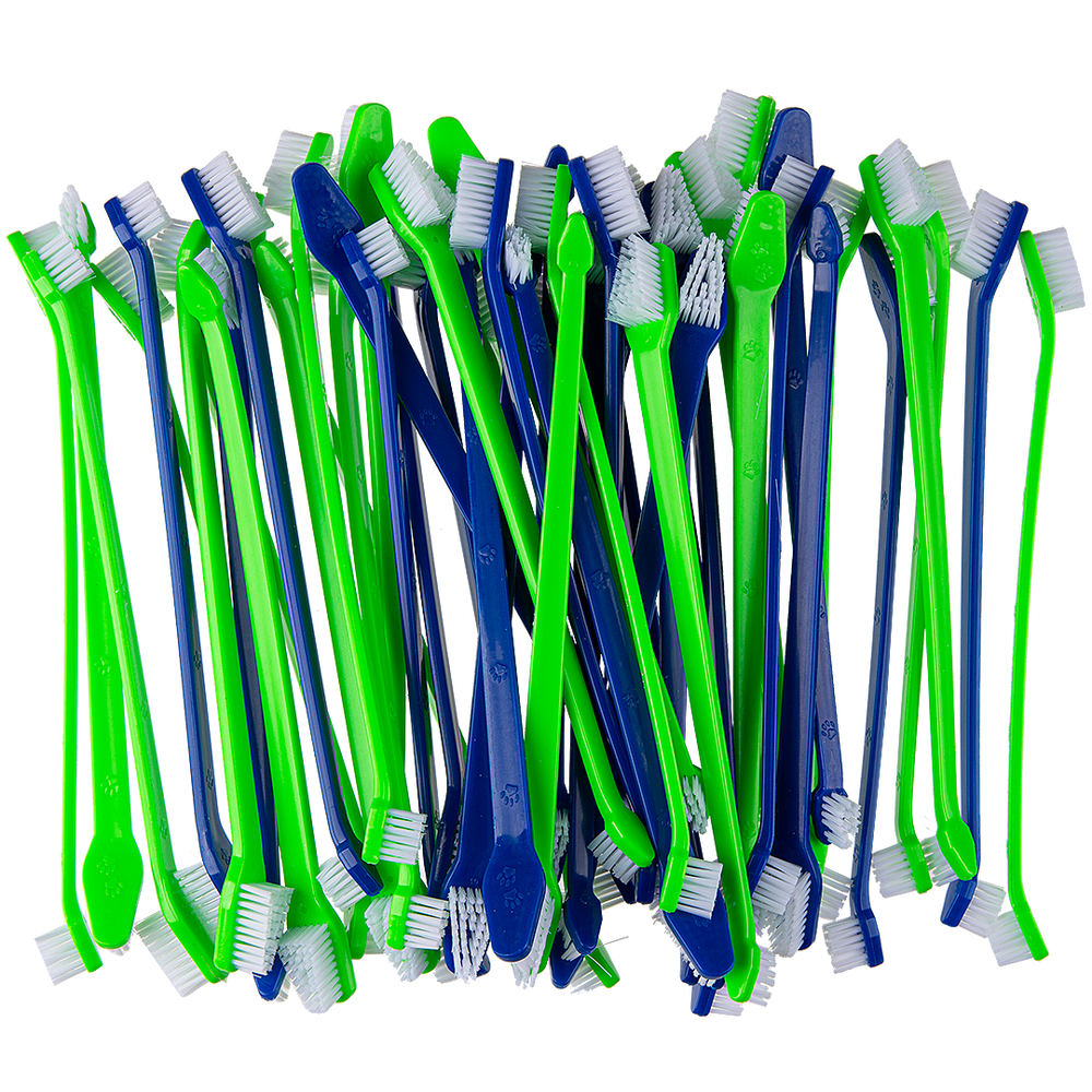 Dual-end Tooth Brushes Green/Blue by PetStore.Direct
