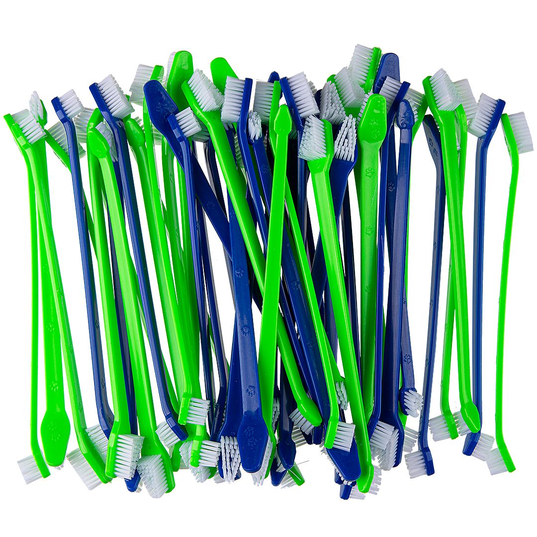 Dual-end Tooth Brushes Green/Blue by PetStore.Direct