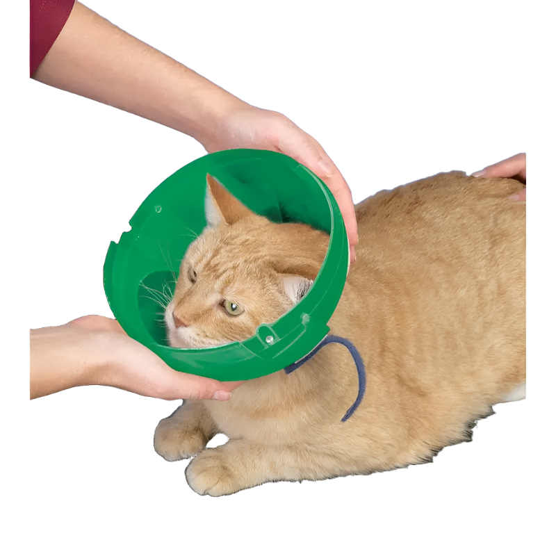 Small Dog and Cat E-collar and Muzzle