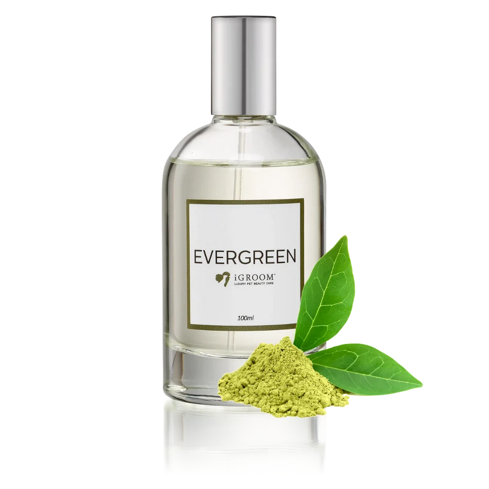 iGroom Evergreen Perfume 100ml