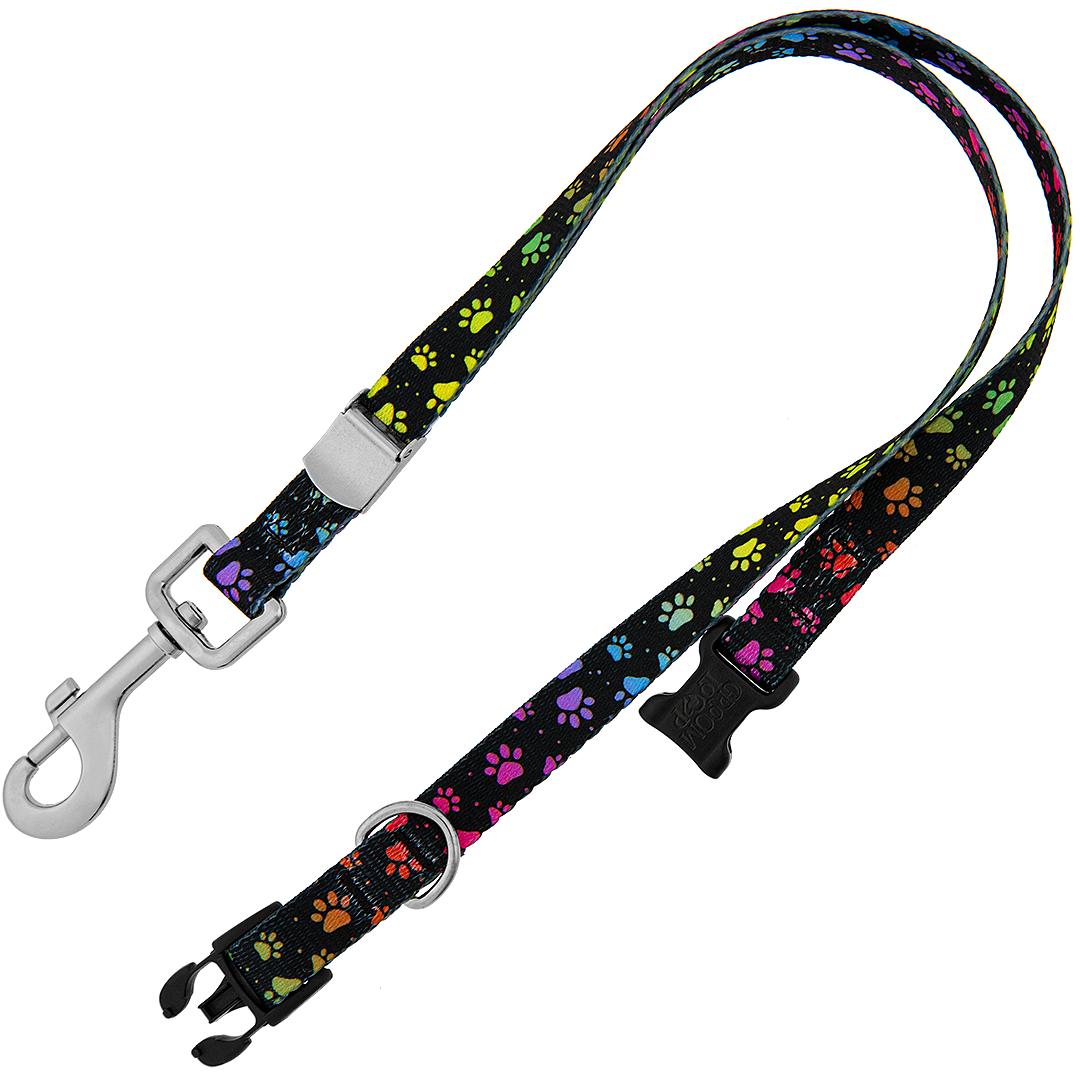20″ Polyester Loop Rainbow Pretty Paws by Groom Loop