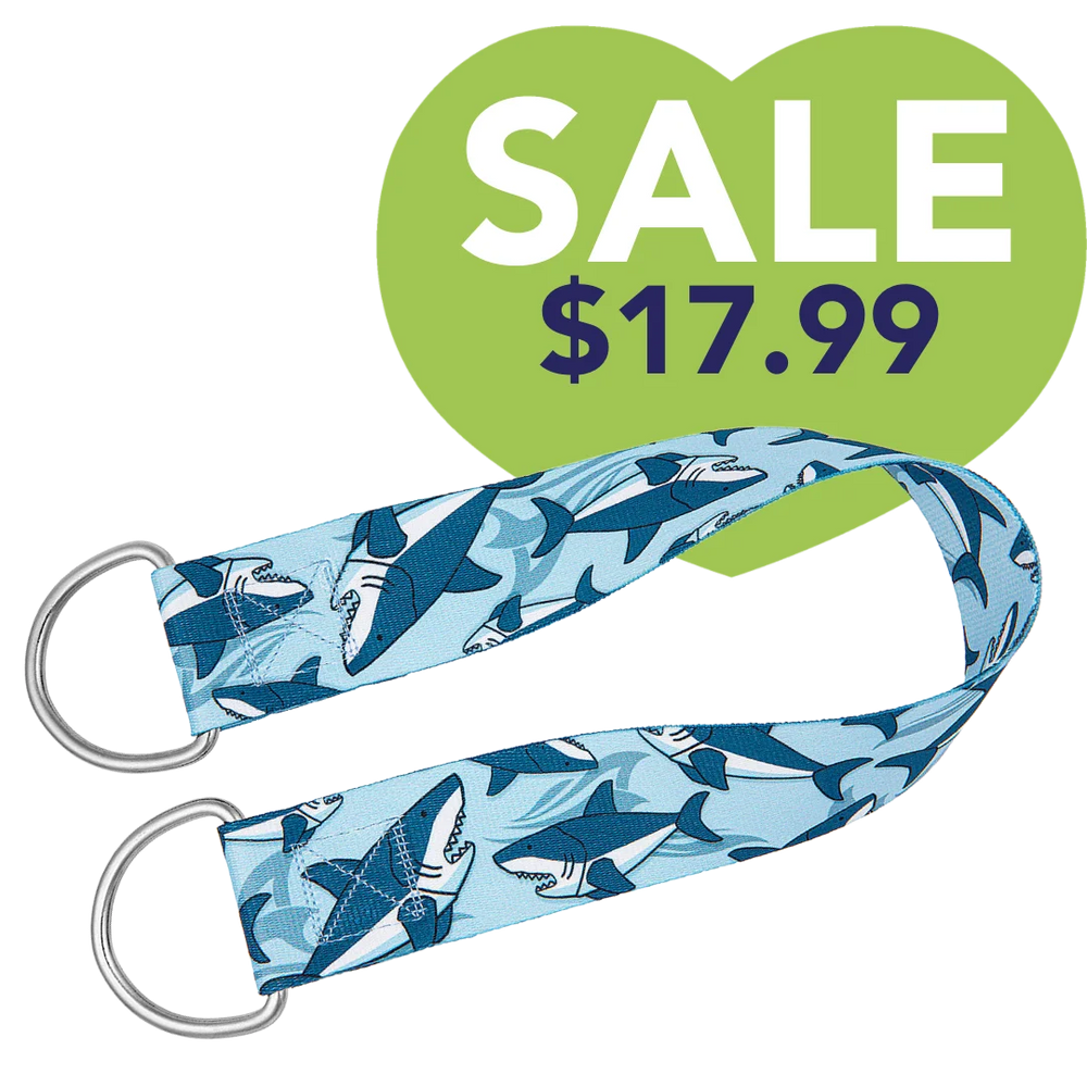 25" Belly Band Blue Shark by Groom Loop