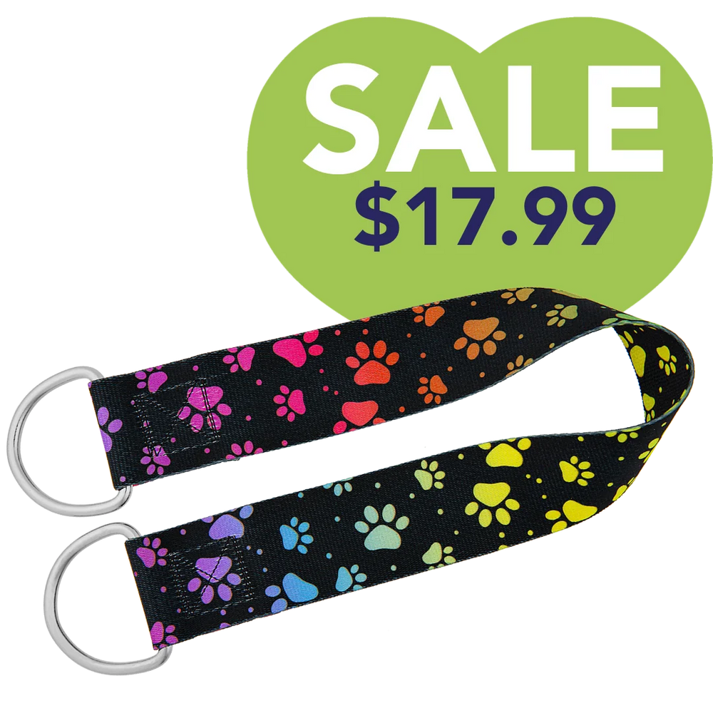 25″ Belly Band Rainbow Pretty Paws by Groom Loop