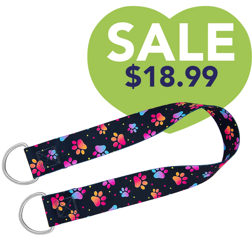 32" Belly Band Pretty Paws by Groom Loop