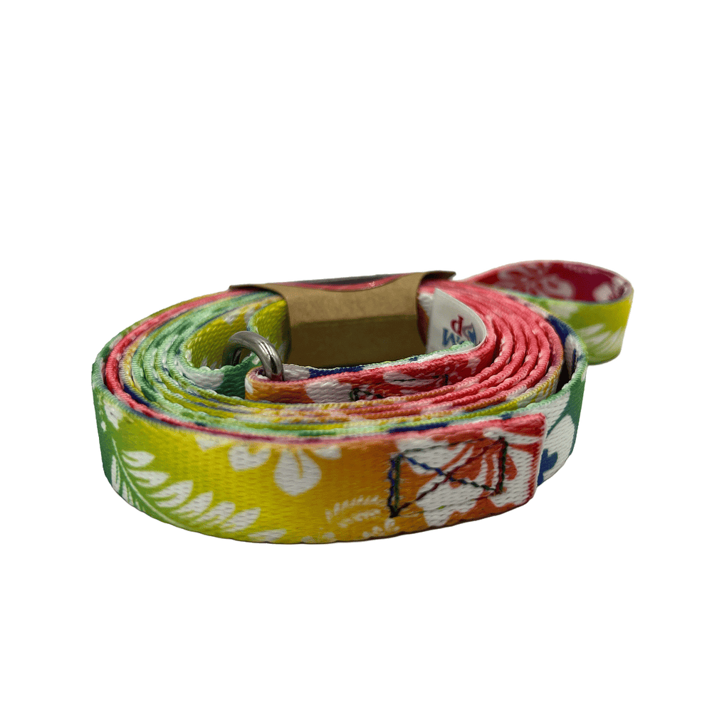 groom-loop-5ft-slip-lead-leash-colorful-hawaiian-for-dogs