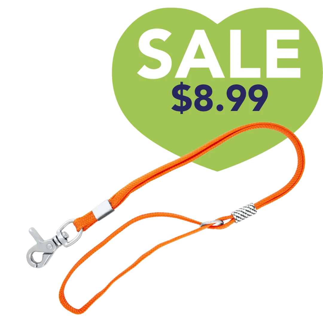 Grooming Noose in Orange by Aeolus