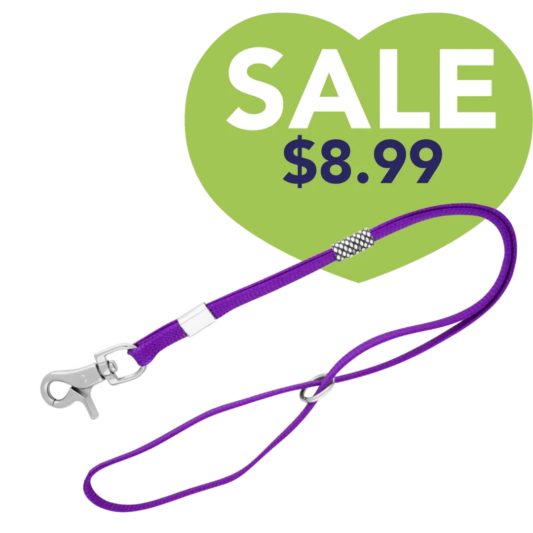 Grooming Noose in Purple by Aeolus