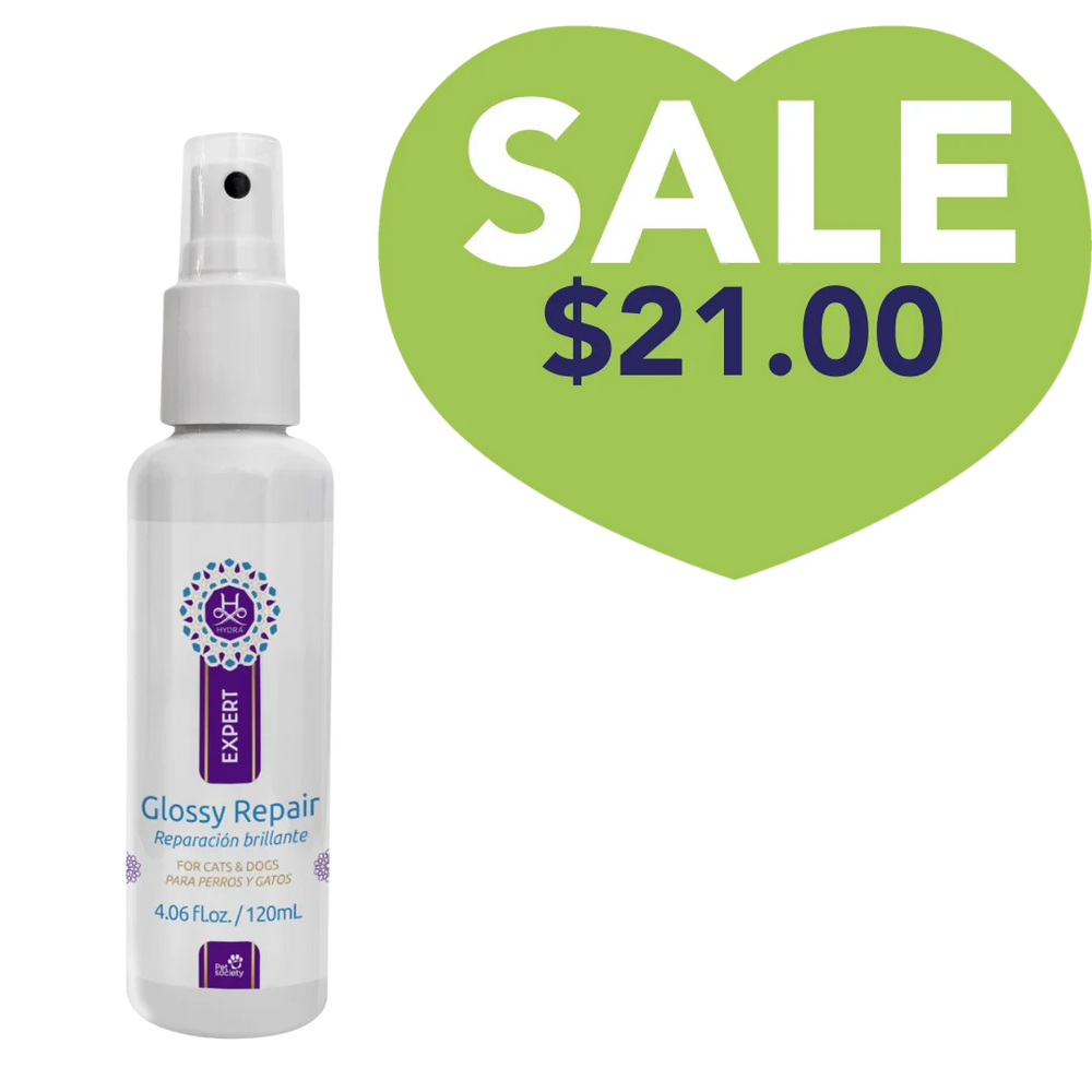 Expert Glossy Repair 4.06oz by Hydra