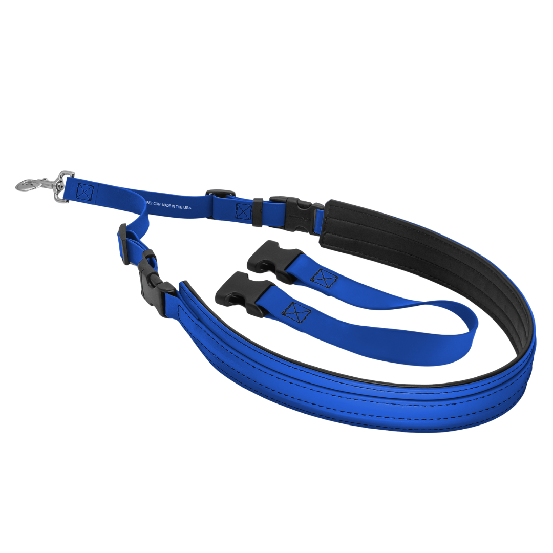 Belly Loop Royal Blue by Jelly Pet